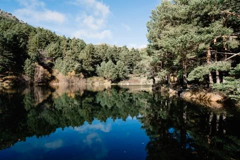 Reflection Of Trees In Calm Lake Stock Photos