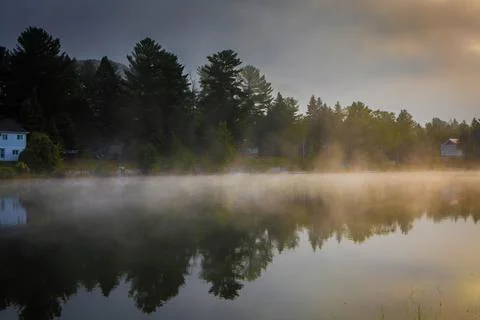 Reflection of trees in calm lake Foto stock