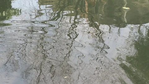Reflection of trees in the canal. Ripples in the river.  Stock Footage 129614037