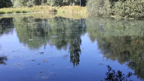 Reflection of Trees in Clear Water at Fontminha Lagoon Source of Minho River 動画素材 340667009