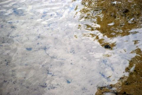 Reflection of trees in clear water. Stock Photos