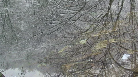 Reflection of trees covered in snow  in water Stock Footage 608950