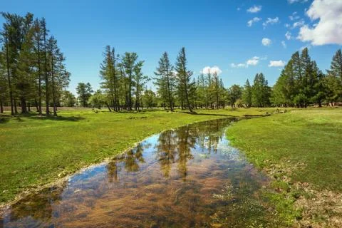 Reflection of trees in the creek Foto stock