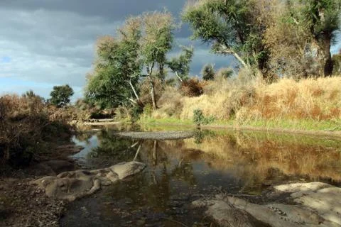 Reflection of trees in the floodplain of the river Kwai, the province Matetsi Stock Photos