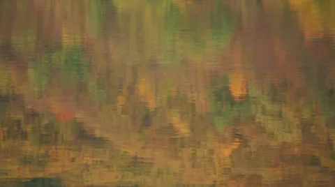 Reflection of Trees Stock Footage 31095509