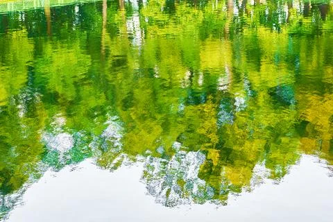 Reflection of trees with green foliage and the sky in the water Stock Photos
