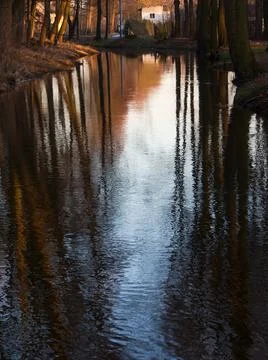 Reflection of trees growing on the bank on the surface of a small river Stock Photos