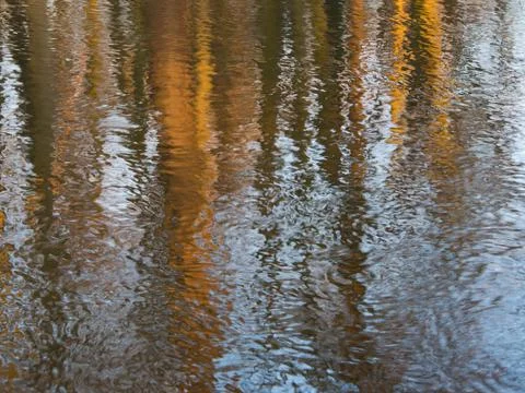 Reflection of trees growing on the bank on the surface of a small river, clos Stock Photos