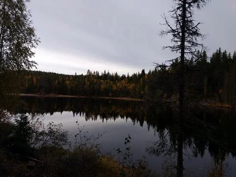 Reflection of trees on lake in autumn Stock Photos