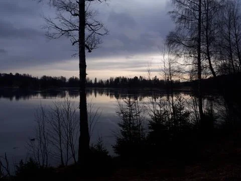 Reflection of trees in the lake during sunset Stock Photos