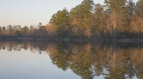 Reflection of Trees on Lake Stock Footage 46020485