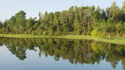 Reflection of trees in lake Stock Footage 57815369
