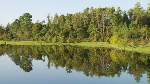 Reflection of trees in lake Video stock 57815385