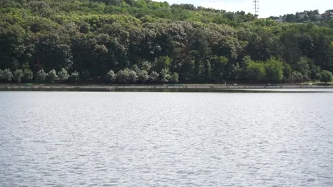 Reflection Of The Trees In A Lake Stock Footage 247449784