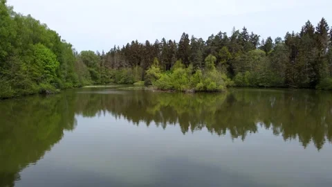 Reflection of trees in the lake Stock Footage 274389825
