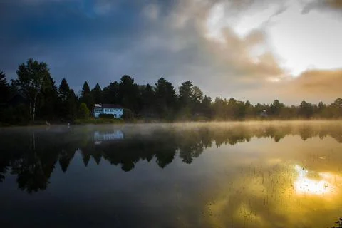 Reflection of trees in lake at forest Foto stock