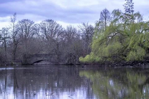 Reflection of trees in a lake late in the evening. Stock Photos