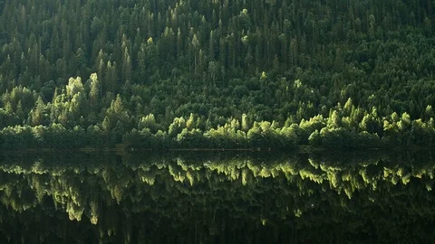 Reflection of trees in the lake near of Sauland, Norway, Europe. Stock Footage 80337733