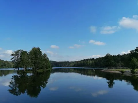 Reflection of trees in the lake Stock Photos