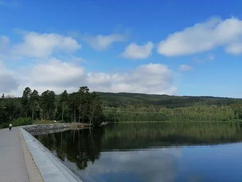 Reflection of trees in the lake Stock Photos