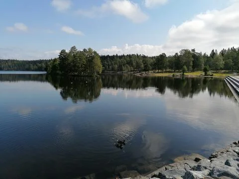Reflection of trees in the lake Stock Photos