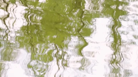 Reflection of Trees in Lake Slow Mo Stock Footage 316994497