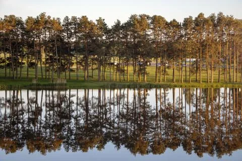 Reflection of trees in the lake at sunset Photos