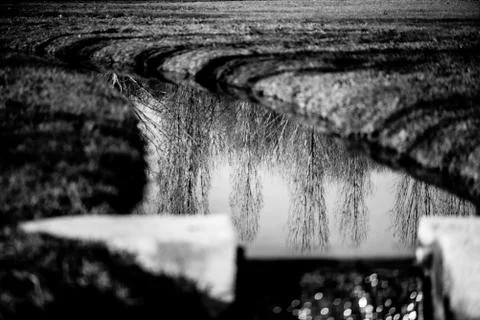 Reflection of trees in a little artificial river Stock Photos