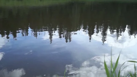 Reflection of trees in a mountain river with a rapid current Stock Footage 79325415