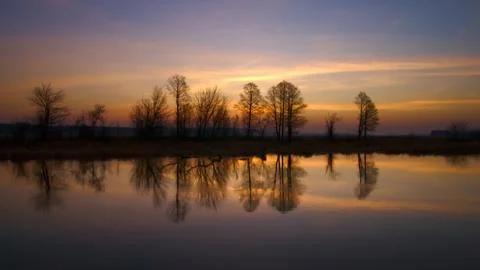 Reflection of trees by the Narew river Stock Photos