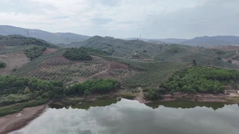 Reflection of the trees over the lake. Agricultural field background. Stock Footage 289578399