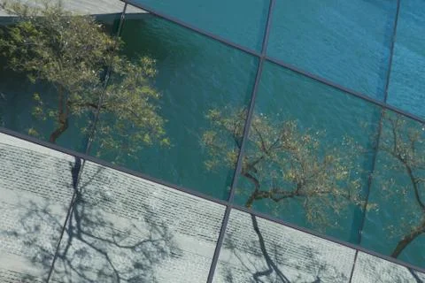 Reflection of trees Stock Photos