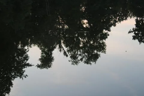 Reflection of trees Stock Photos