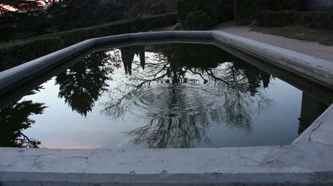 Reflection Of The Trees In The Pond. Vídeo Stock 46578827
