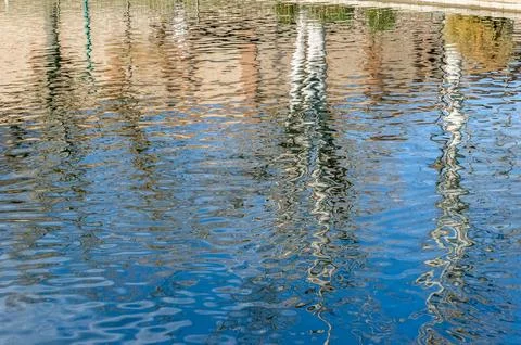 Reflection of trees in the pond of a park Foto stock
