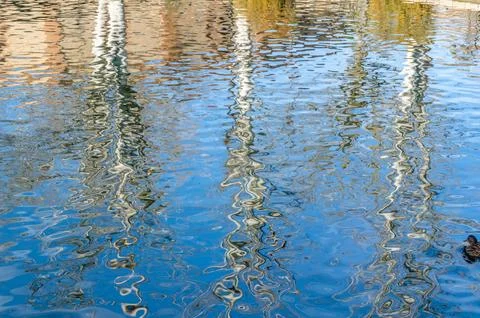 Reflection of trees in the pond of a park Stock Photos