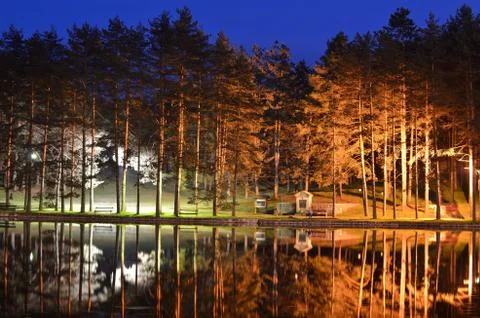 Reflection of Trees on Pond Stock Photos