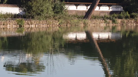 Reflection of the trees on the pond of Villa Ada in Rome, Italy - 4k - ProRes Stock Footage 145216506