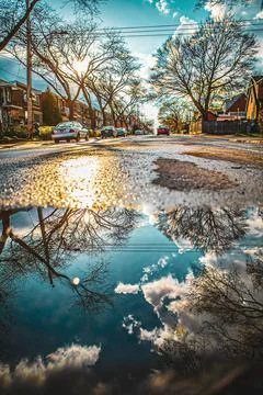 Reflection of trees on puddle at street Stock Photos