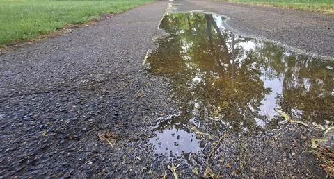 Reflection of trees in a puddle on a wet asphalt path after rain. A large p.. Stock Photos