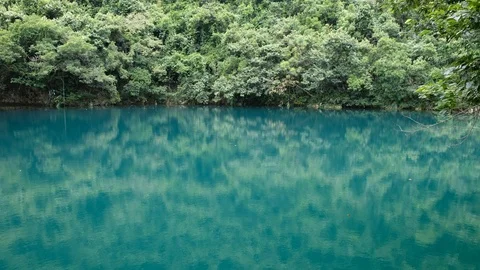 Reflection Of Trees In Reservoir Stock Footage 115941702