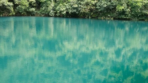 Reflection Of Trees In Reservoir Stock Footage 115942403