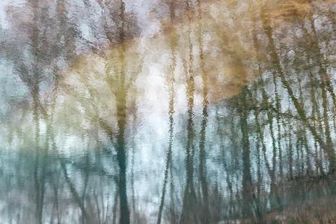 Reflection of trees on the ripple water surface in pond. Natural multicolor Stock Photos