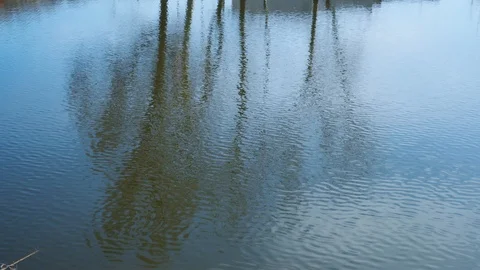 Reflection trees river. Beautiful autumn colorful scenery. Spring season. Stock Footage 126593150