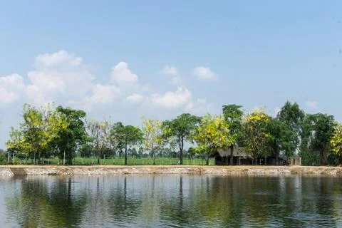 Reflection of trees in the river at dawn with blue sky Foto stock
