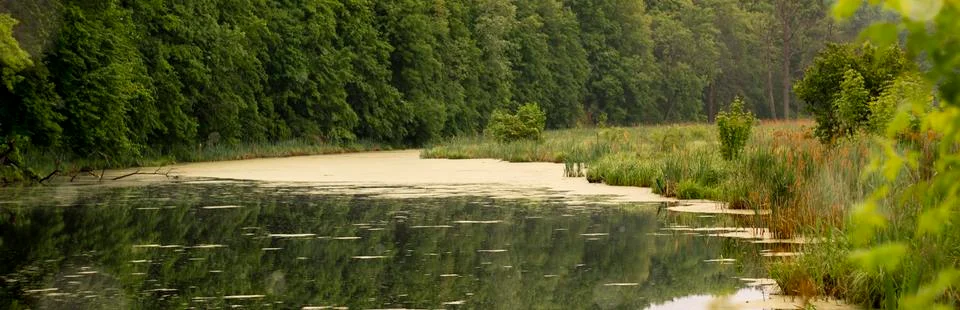 Reflection of trees in the river at dawn Stock Photos