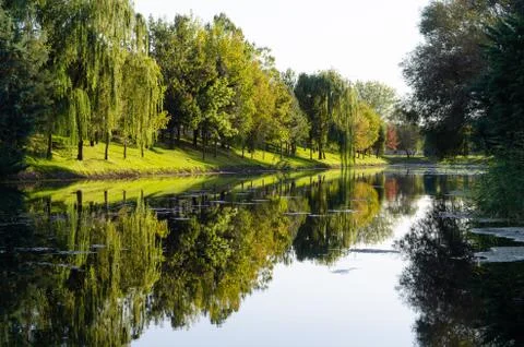 Reflection of trees in a river , Eskisehir,Turkey. Stock Photos