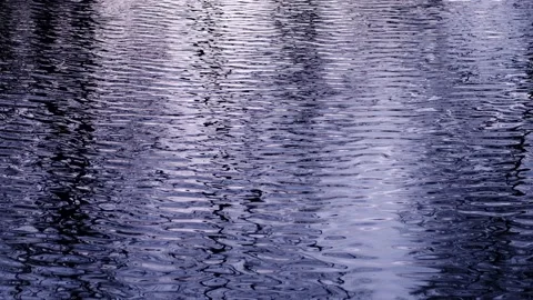 Reflection of trees in the river in the evening in the park. Stock Footage 142753298
