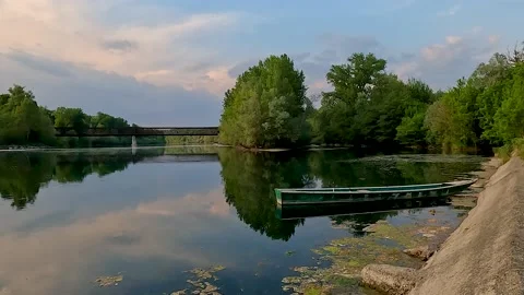 Reflection of trees in the river Stock Footage 228716976