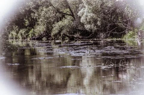 Reflection of trees in the river - retro, vintage style look Stock Photos